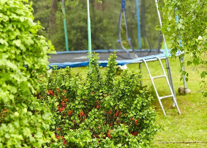 Stara Pastorowka Landsted